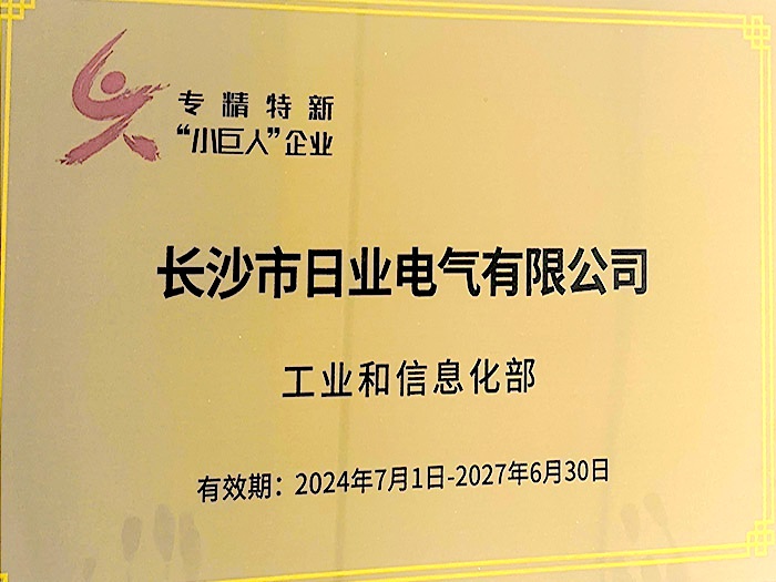 专精特新“小巨人”企业